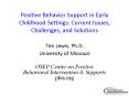 Positive Behavior Support in Early Childhood Settings: PowerPoint PPT Presentation
