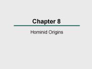 Hominid Origins