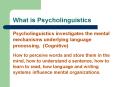 What is Psycholinguistics PowerPoint PPT Presentation