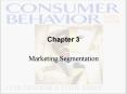Marketing Segmentation PowerPoint PPT Presentation