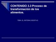 CONTENIDO 3.3 Proceso de transformaci