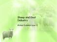 Sheep and Goat Industry PowerPoint PPT Presentation