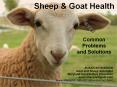 Sheep PowerPoint PPT Presentation