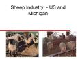 Sheep Industry - US and Michigan PowerPoint PPT Presentation