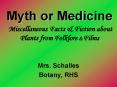 Myth or Medicine Miscellaneous Facts PowerPoint PPT Presentation