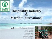 Hospitality Industry