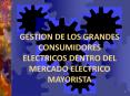GESTION DE LOS GRANDES CONSUMIDORES ELECTRICOS DENTRO DEL MERCADO ELECTRICO MAYORISTA PowerPoint PPT Presentation