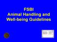 FSBI Animal Handling and Well-being Guidelines PowerPoint PPT Presentation