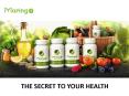 Moringo Organics Product ppt PowerPoint PPT Presentation