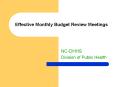 Effective Monthly Budget Review Meetings PowerPoint PPT Presentation
