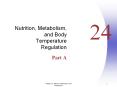 Nutrition, Metabolism, and Body Temperature Regulation PowerPoint PPT Presentation