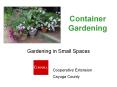 Container Gardening PowerPoint PPT Presentation