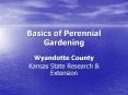 Basics of Perennial Gardening PowerPoint PPT Presentation
