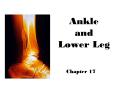 Ankle and Lower Leg PowerPoint PPT Presentation