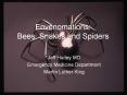 Envenomations: Bees, Snakes and Spiders PowerPoint PPT Presentation