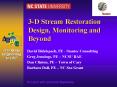 3-D Stream Restoration Design, Monitoring and Beyond PowerPoint PPT Presentation