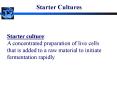 Starter Cultures PowerPoint PPT Presentation