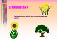 ETHNOBOTANY PowerPoint PPT Presentation