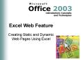 Excel Web Feature PowerPoint PPT Presentation