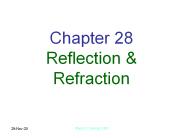 Chapter 28 Reflection