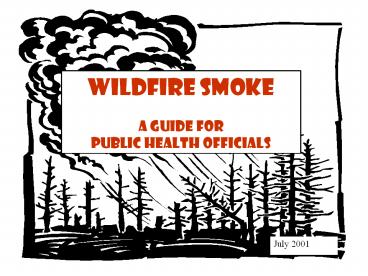Wildfire Smoke