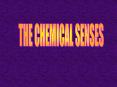 The Chemical Senses  Taste and Smell PowerPoint PPT Presentation
