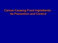 Cancer-Causing Food Ingredients: Its Prevention and Control PowerPoint PPT Presentation