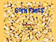 Corn Facts