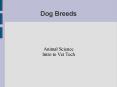Dog Breeds PowerPoint PPT Presentation