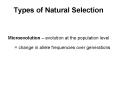 Types of Natural Selection PowerPoint PPT Presentation