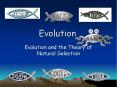 Evolution PowerPoint PPT Presentation