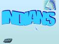 INDIANS PowerPoint PPT Presentation