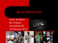 Mixed Martial Arts PowerPoint PPT Presentation