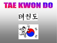 TAE KWON DO