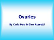 Ovaries