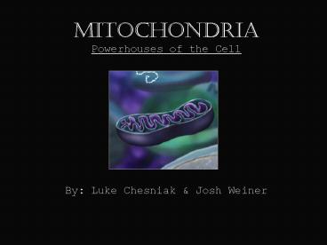 Mitochondria Powerhouses of the Cell