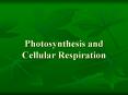 Photosynthesis and Cellular Respiration PowerPoint PPT Presentation