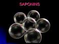 SAPONINS PowerPoint PPT Presentation