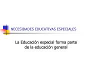 NECESIDADES EDUCATIVAS ESPECIALES