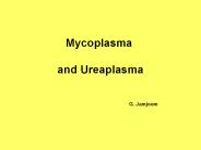 Mycoplasma  and Ureaplasma