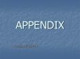 APPENDIX PowerPoint PPT Presentation
