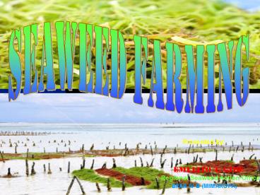 SEAWEED FARMING