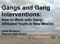 Gangs and Gang Interventions: PowerPoint PPT Presentation