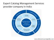 eCommerce Catalog Management Services