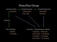 Penicillins Group PowerPoint PPT Presentation