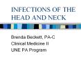 INFECTIONS OF THE HEAD AND NECK PowerPoint PPT Presentation