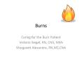 Burns PowerPoint PPT Presentation