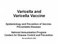 Varicella and Varicella Vaccine PowerPoint PPT Presentation