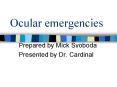 Ocular emergencies PowerPoint PPT Presentation
