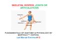 SKELETAL SYSTEM: JOINTS OR ARTICULATIONS PowerPoint PPT Presentation